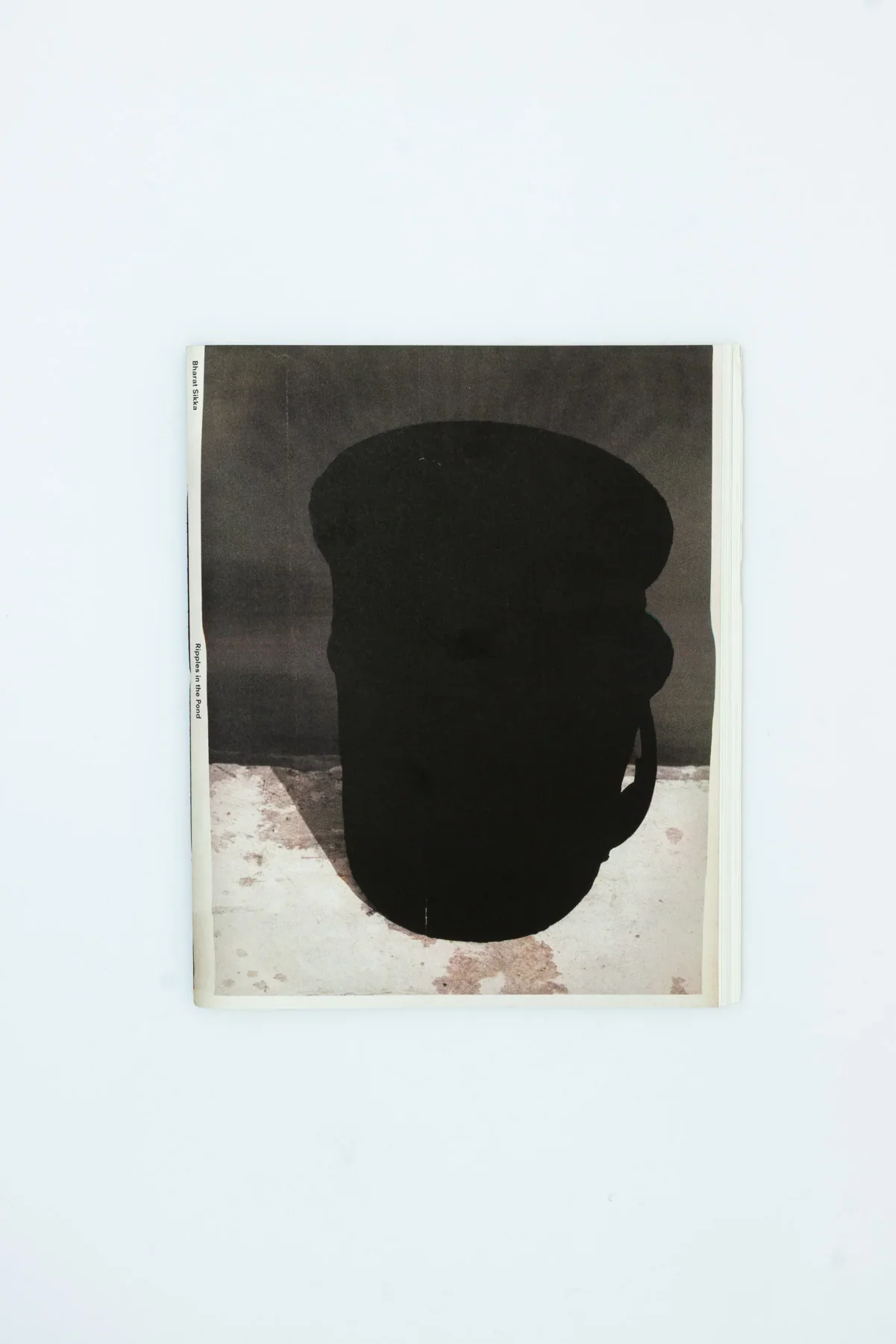 Ripples in the Pond - Bharat Sikka